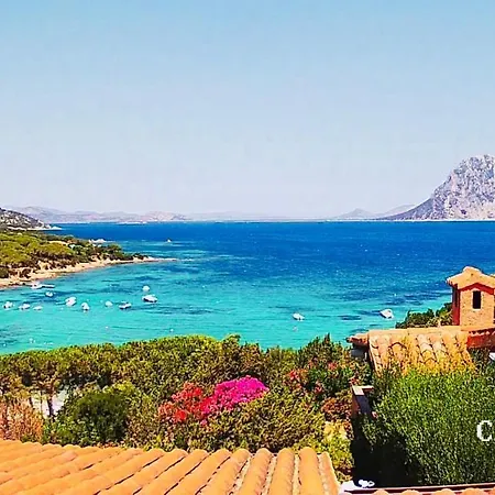 La Casa Delle Conchiglie Holiday home Capo Coda Cavallo