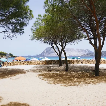 La Casa Delle Conchiglie * Capo Coda Cavallo