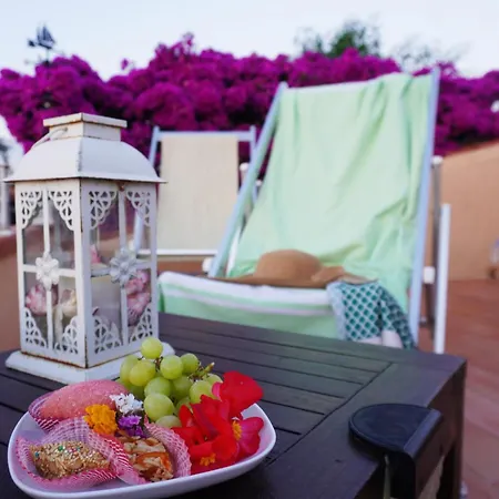 La Casa Delle Conchiglie