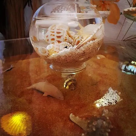 La Casa Delle Conchiglie *