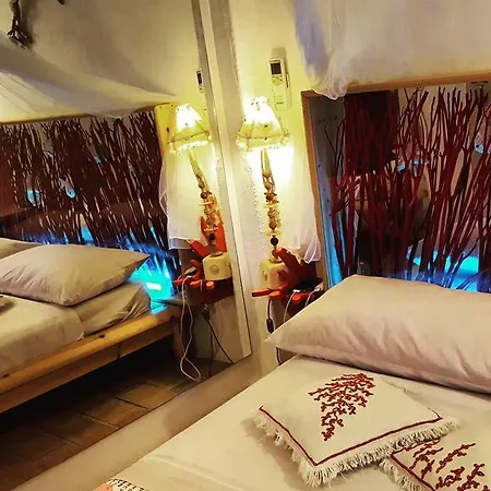 La Casa Delle Conchiglie