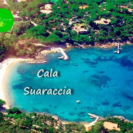 La Casa Delle Conchiglie Tatil Evi *