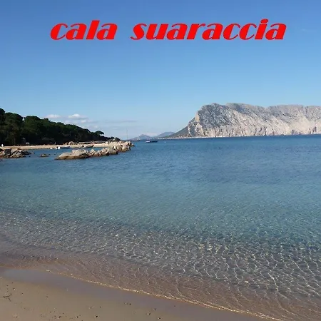 La Casa Delle Conchiglie *