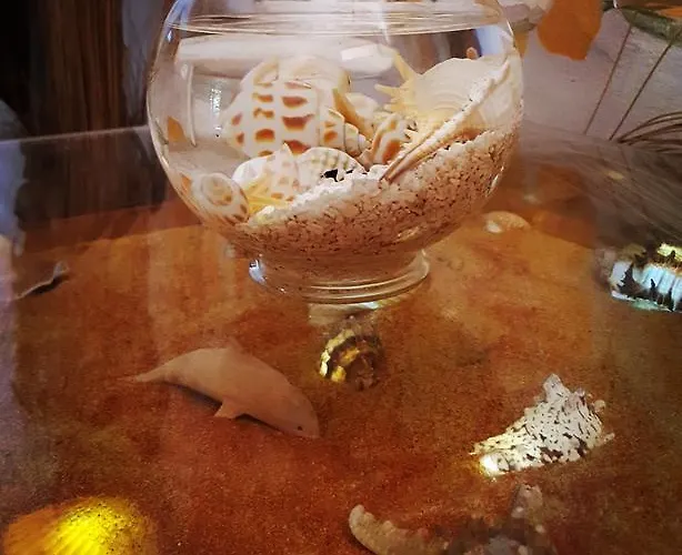 La Casa Delle Conchiglie *